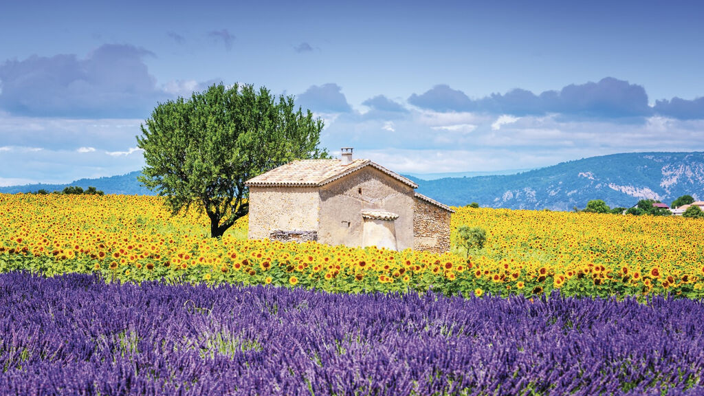 Báječná Provence - fotografie