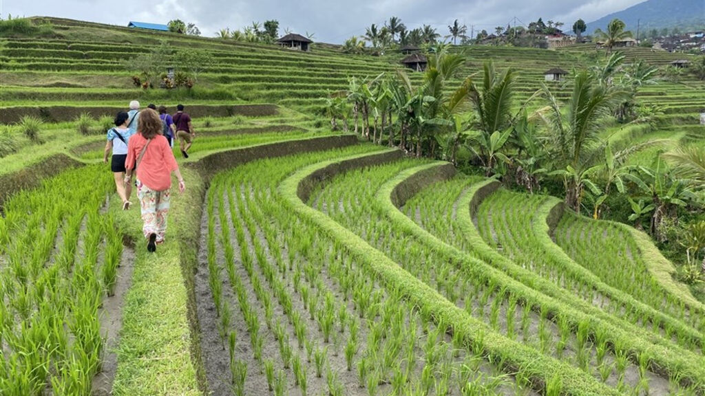 Bali - ostrov chrámů, rýžových polí a úsměvů - fotografie