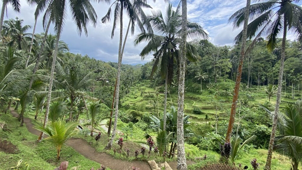 Bali - ostrov chrámů, rýžových polí a úsměvů - fotografie