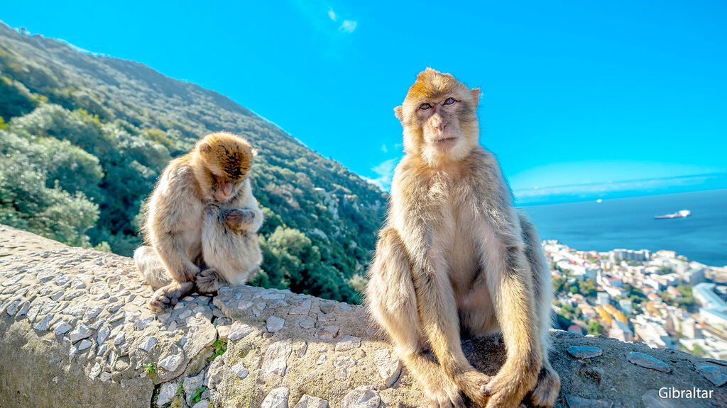 Perly Anadalusie s pobytem u moře - fotografie