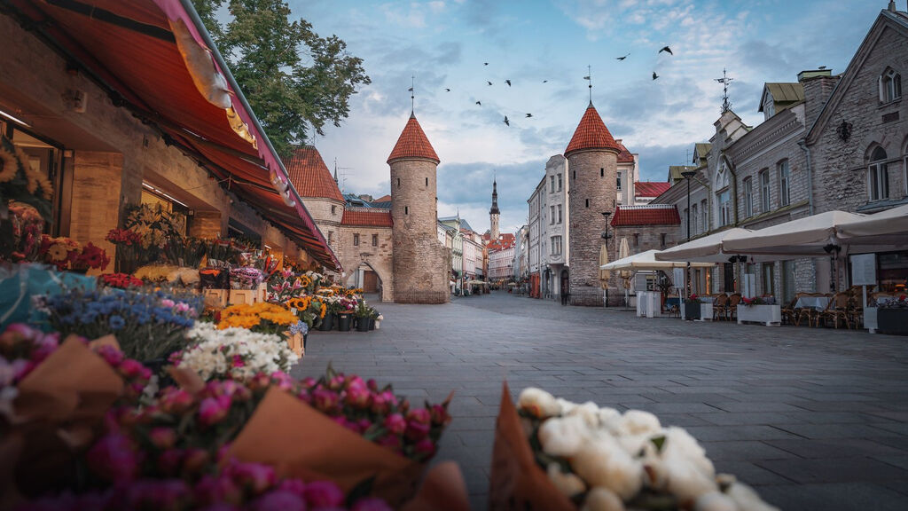 Prodloužený víkend v Tallinnu s výletem do Helsinek - fotografie