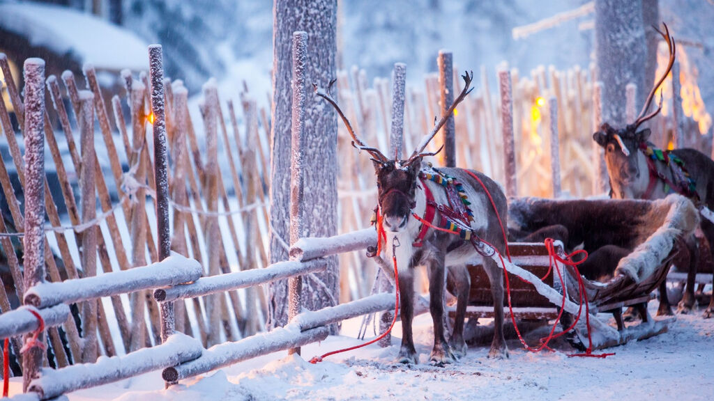 Prodloužený Víkend Za Polárním Kruhem - fotografie