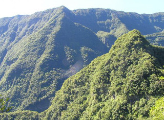 Réunion - ilustrační fotografie